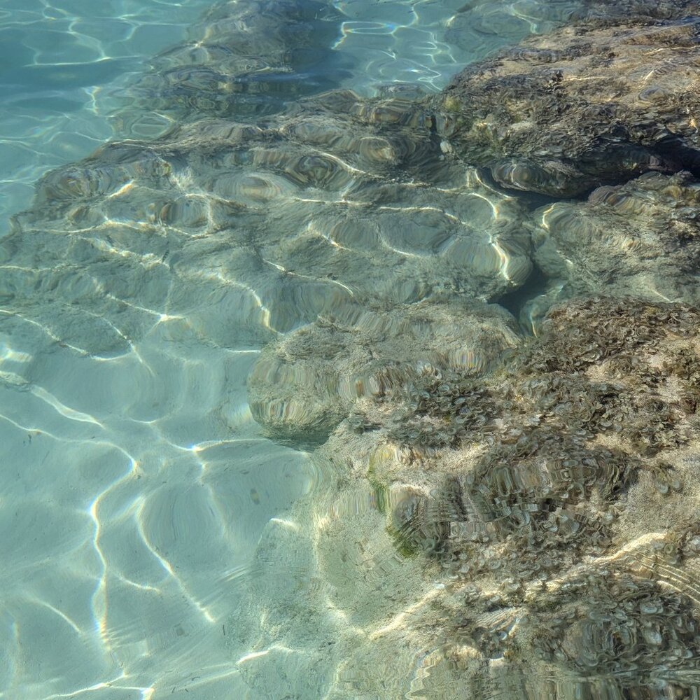 Meet your Posher, Tanuja